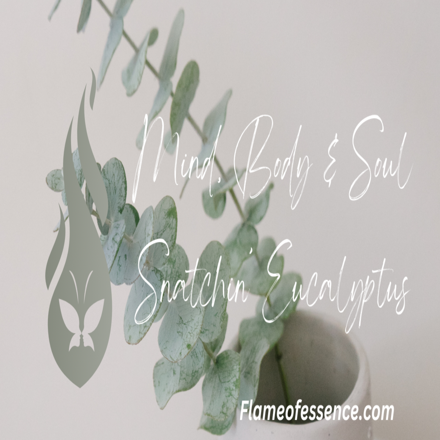 Mind, Body & Soul Snatchin' Eucalyptus