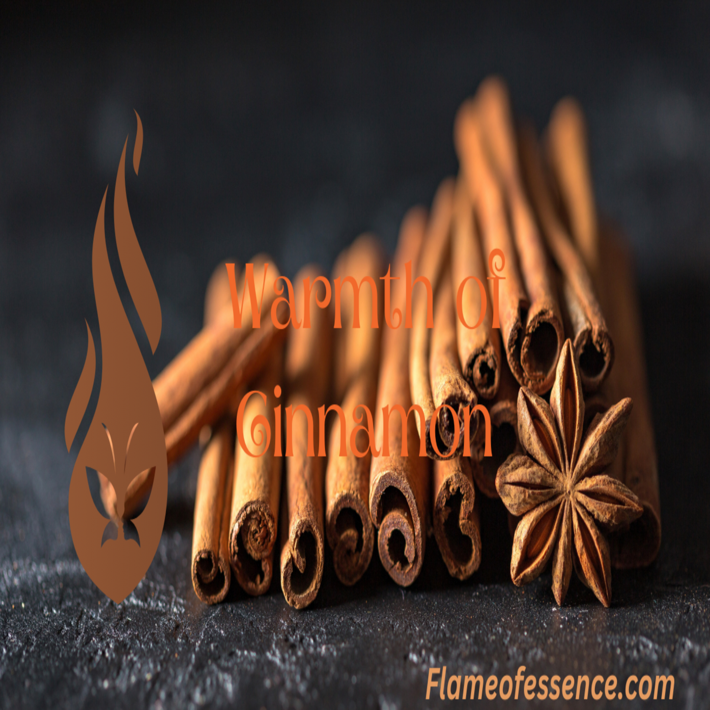 Warmth of Cinnamon